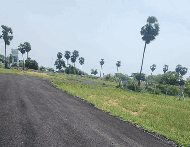 Aara Nagar Internal Road 1