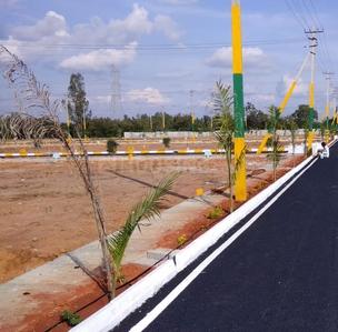 Global Village Elevation 1