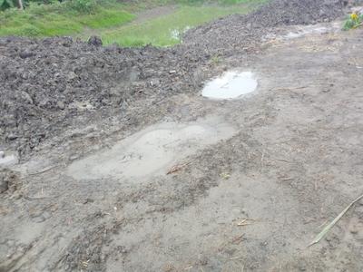 Project Image of 1080.0 - 2160.0 Sq.ft Residential Plot Plot for buy in Bhupati Amgachia Abasan