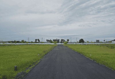 Project Images