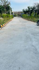 Project Image of 1319.4 - 4554.0 Sq.ft Residential Plot Plot for buy in Sun Olive Greens