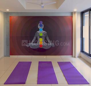 Gallery Cover Pic of Gala Celestia