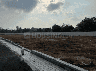 Tashvi Plot 1