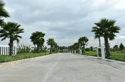 Project Image of 5637.06 - 5809.93 Sq.ft Residential Plot Plot for buy in Sapphire Greens Phase I L