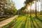 Hiranandani Obelia B Landscaped Gardens 2
