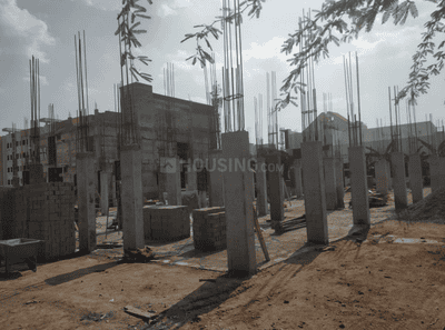 Project Images