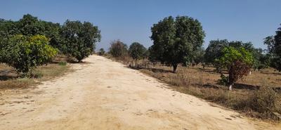Project Image of 1350.0 - 3600.0 Sq.ft Residential Plot Plot for buy in Druvitha Rivers Edge Nature Greens