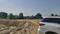 MPB Sunrise Enclave Plot 2