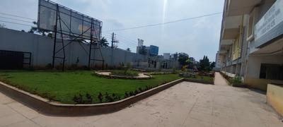 Spring Woods Others 1