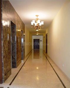 Project Image of 2250.0 - 3720.0 Sq.ft 3 BHK Apartment for buy in Legacy Celino