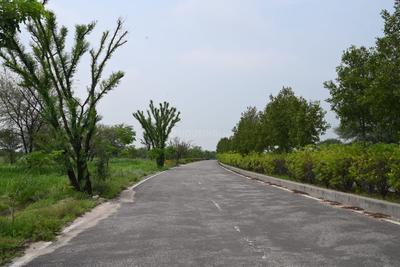 Project Image of 111.0 - 3600.0 Sq.ft Residential Plot Plot for buy in Trimurty The Future City
