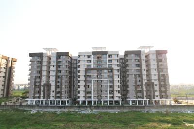 Project Image of 1250 Sq.ft 2.5 BHK Apartment / Flat for sale in Sundarpada for Rs. 10500000
