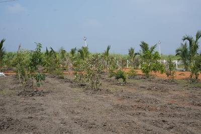 Sri Abhisha Sri Dhatri Plot 3