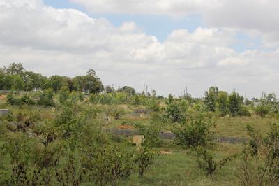 Project Image of 0.0 - 1200.0 Sq.ft Residential Plot Plot for buy in RK Silicon Valley