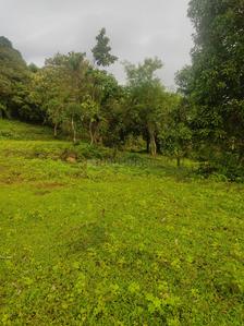 Farm N Land Roha Plot 1