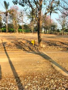 Project Image of 1500 Sq.ft Residential Plot / Land for sale in Marsur for Rs. 7050000