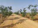 Affinity Brundavanam Plot 1