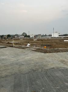 Project Image of 1113.74 - 2491.63 Sq.ft Residential Plot Plot for buy in Narmada Vihar 6