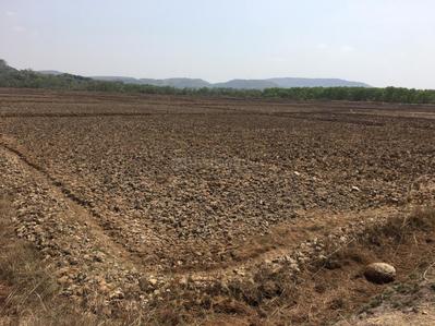 Farm N Land Roha Plot 2