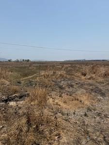 Project Image of 1000.0 - 10000.0 Sq.ft Residential Plot Plot for buy in Invest Mahamumbai Plots in Panvel