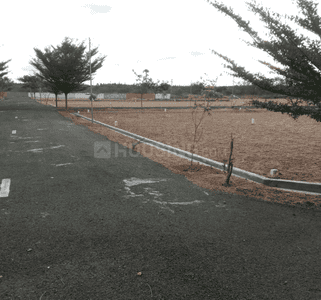 Project Images