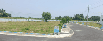 Project Images