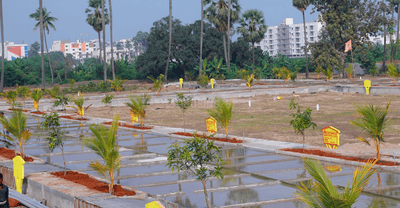 Project Image of 1101.69 - 1931.91 Sq.ft Residential Plot Plot for buy in Chaturbhuja Trimbak Oaks Phase 5