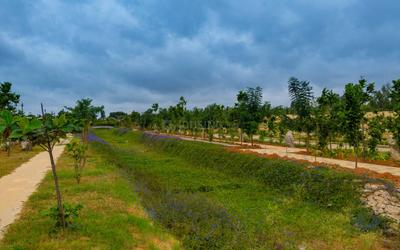 Project Image of 1200.0 - 5400.0 Sq.ft Residential Plot Plot for buy in SPA Eco City