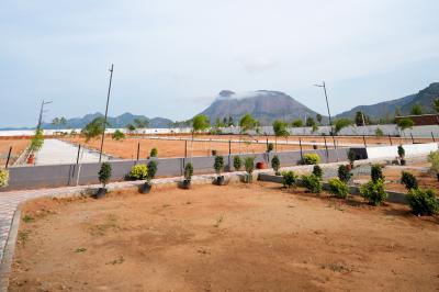Project Image of 673.0 - 3831.0 Sq.ft Residential Plot Plot for buy in Temple View