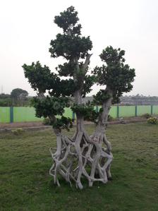 Project Image of 0.0 - 1350.0 Sq.ft Residential Plot Plot for buy in RR Shree City