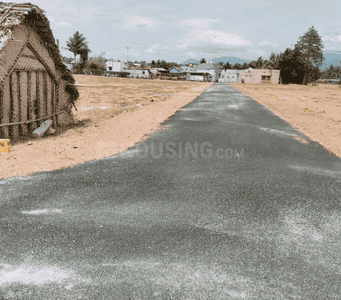Project Images