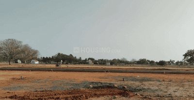 Project Images