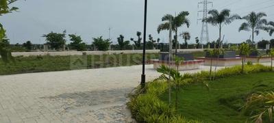 Mauli Town 21 Landscape Garden and Tree Planting 4