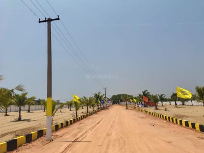 Project Image of 9600.0 - 13020.0 Sq.ft Residential Plot Plot for buy in Maruthi Sea View Farm Land