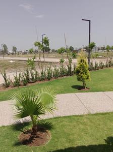Project Image of 1000 Sq.ft Residential Plot / Land for sale in Balya Kheda for Rs. 5000000