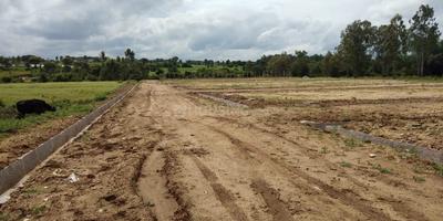 Project Image of 600.0 - 1320.0 Sq.ft Residential Plot Plot for buy in Aditya Rashi Enclave Phase 6