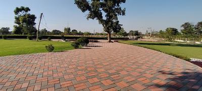 Project Image of 1033.0 - 1991.0 Sq.ft Residential Plot Plot for buy in Balaji Silver Pride
