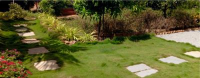 Project Image of 3267.0 - 6534.0 Sq.ft Residential Plot Plot for buy in Bhavishya Siri II