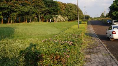 Project Image of 373.18 - 2534.79 Sq.ft Residential Plot Plot for buy in Tricone City New