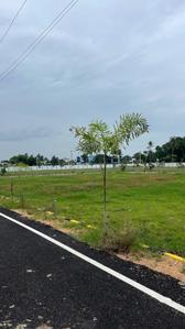 Project Image of 657.0 - 1200.0 Sq.ft Residential Plot Plot for buy in Ravilla Marutham Villa Plots
