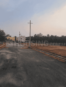 Project Images