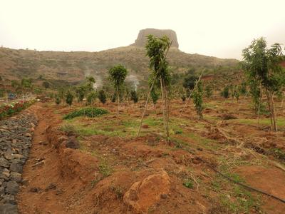 Project Image of 0.0 - 10764.0 Sq.ft Residential Plot Plot for buy in Asha Bramha Greens