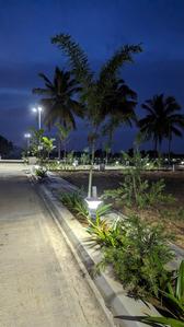Project Image of 1200.0 - 1500.0 Sq.ft Residential Plot Plot for buy in VM Lotuscity