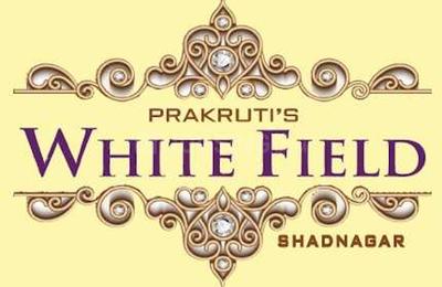 Project Image of 1281.0 - 10043.0 Sq.ft Residential Plot Plot for buy in Prakruti White Field