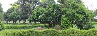 Project Image of 827.96 - 4355.94 Sq.ft Residential Plot Plot for buy in Narsi Vihar City