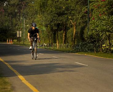 Elite Woods Internal Roads 1