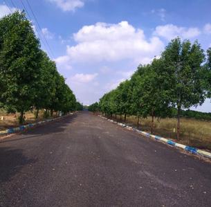 Project Image of 1647.0 - 9000.0 Sq.ft Residential Plot Plot for buy in Alekya Brundhavanam
