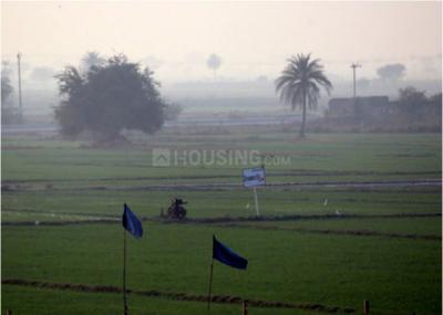 Project Image of 729.04 - 5625.0 Sq.ft Residential Plot Plot for buy in JDIA Dream City