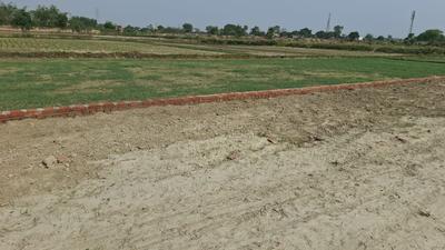 Project Image of 1000.0 - 1500.0 Sq.ft Residential Plot Plot for buy in Nature Valley
