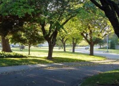 Project Image of 1200.0 - 2400.0 Sq.ft Residential Plot Plot for buy in Abhyudaya Palm Meadows